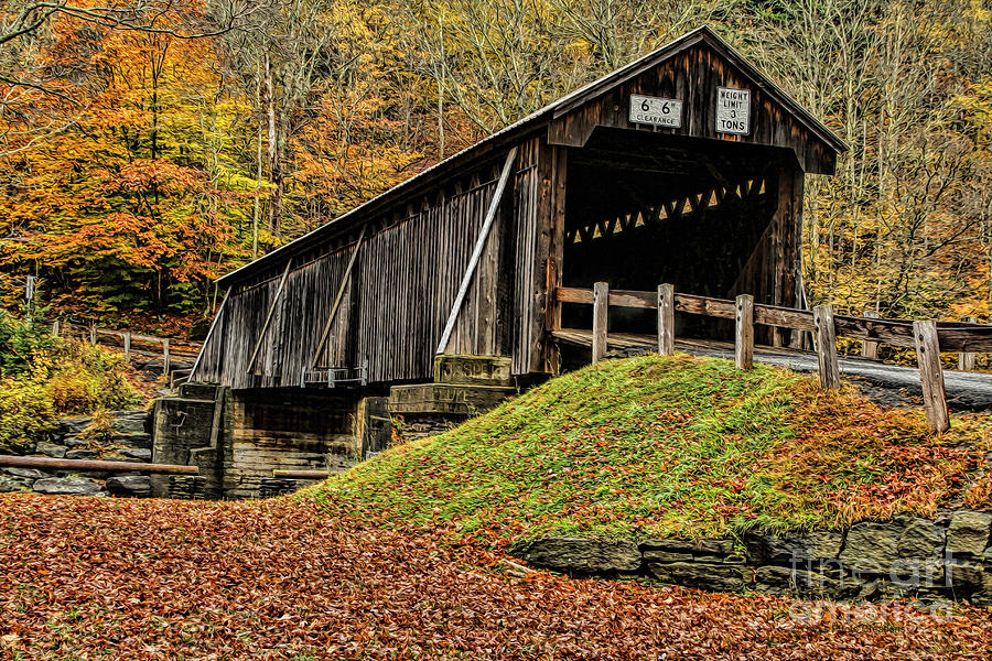 Autumn in Full Glory Photograph by Deborah Benoit - Fine Art America