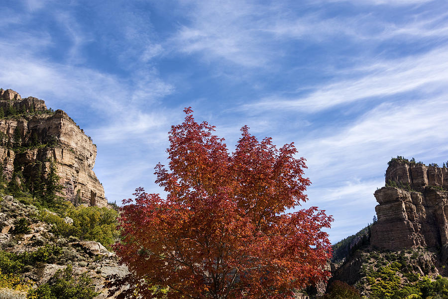 Autumn In Glenwood Canyon - Colorado Photograph by Brian Harig