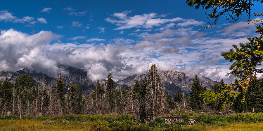 Autumn In Grand Teton Park Photograph by Yeates Photography