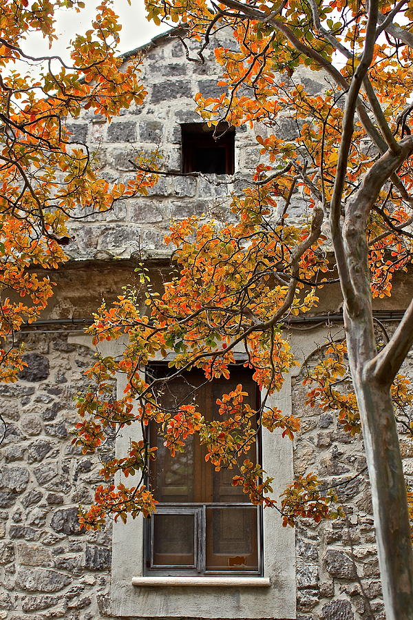 Autumn Photograph - Autumn in Italy by Claudia Croneberger Autumn Photograph - Autumn in Italy by Claudia Croneberger