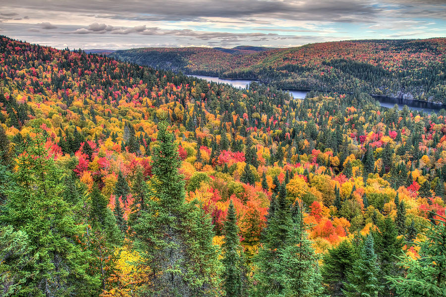 Autumn in La Mauricie National Park Canada Photograph by Pierre Leclerc Photography