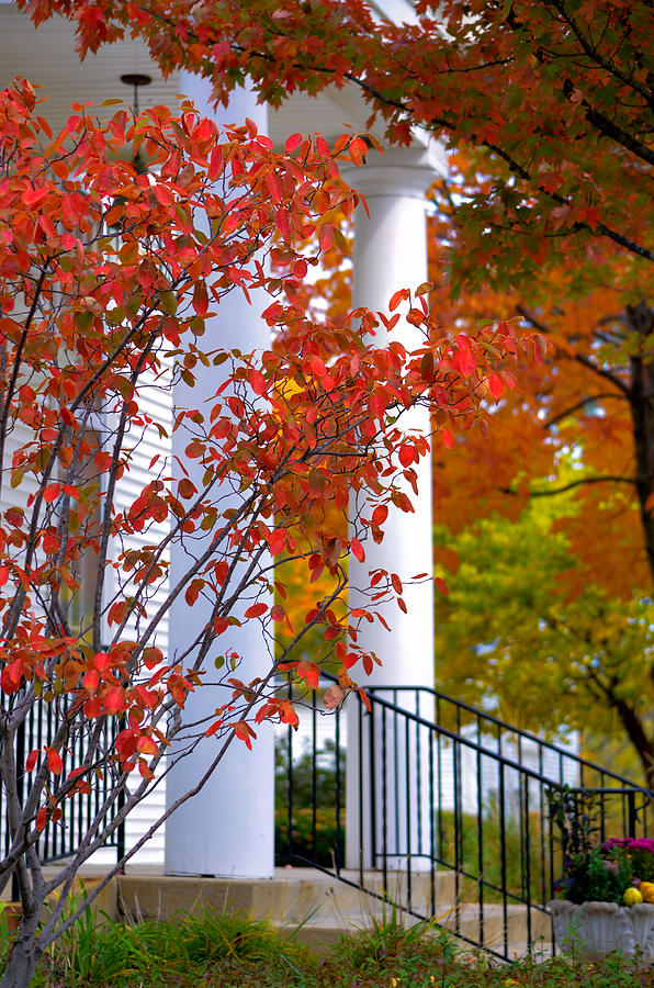 Autumn in Long Grove 2 Photograph by Julie Palencia