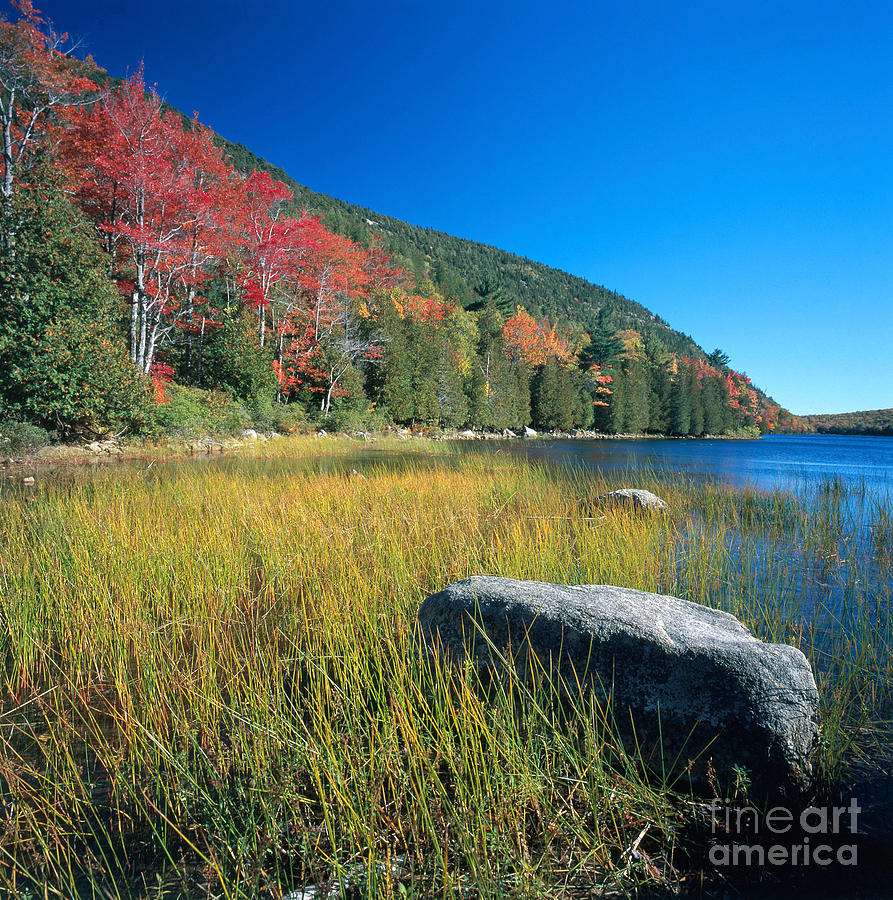 Autumn in Maine Photograph by Len Rue Jr
