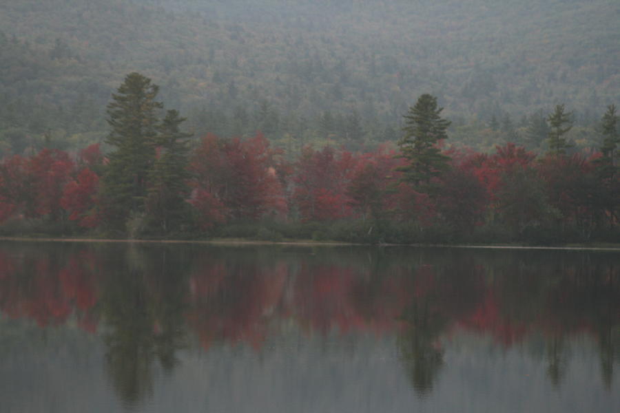 Autumn in Maine Photograph by Terry Burgess