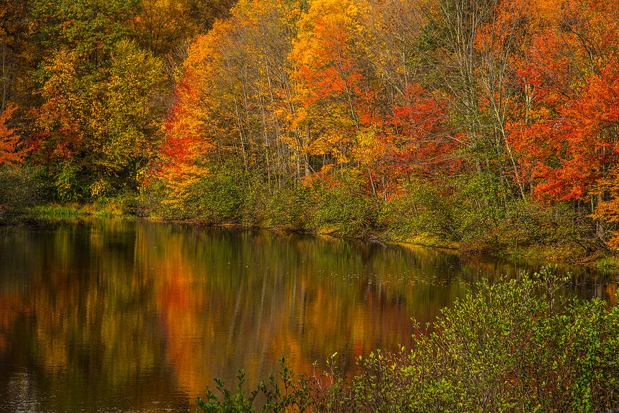 Autumn In Monroe by Karol Livote