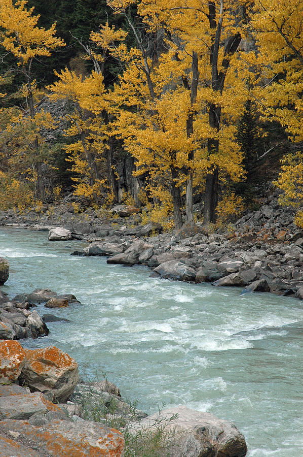 Autumn in Montanas Gallatin Canyon Photograph by Bruce Gourley