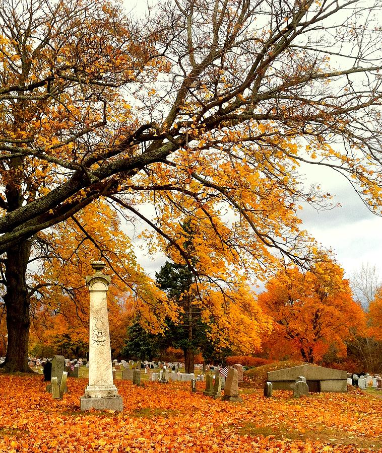Autumn in New England Photograph by Caroline Stella