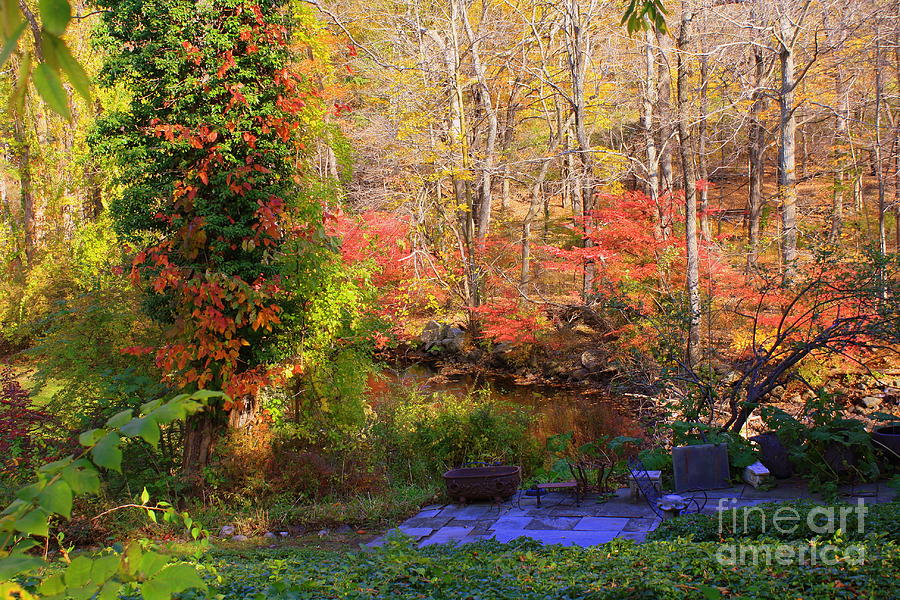 Autumn in New England Photograph by Dora Sofia Caputo