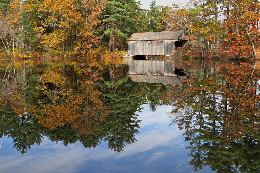 Autumn in New England Photograph by John Babis