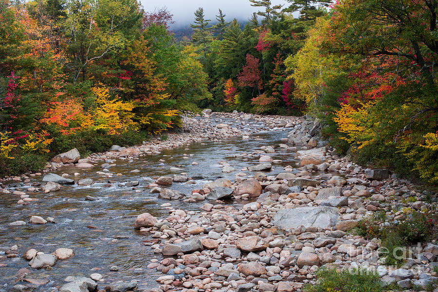 Autumn in New England Photograph by John Greco