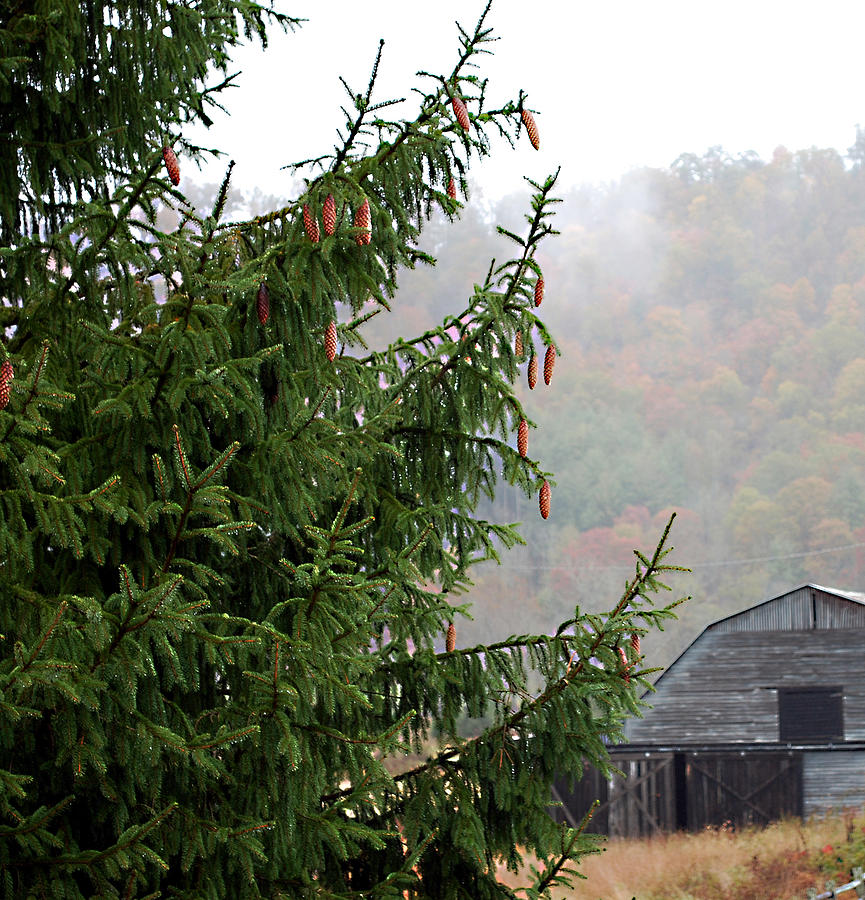 Autumn In North Carolina Photograph by Linda Cox
