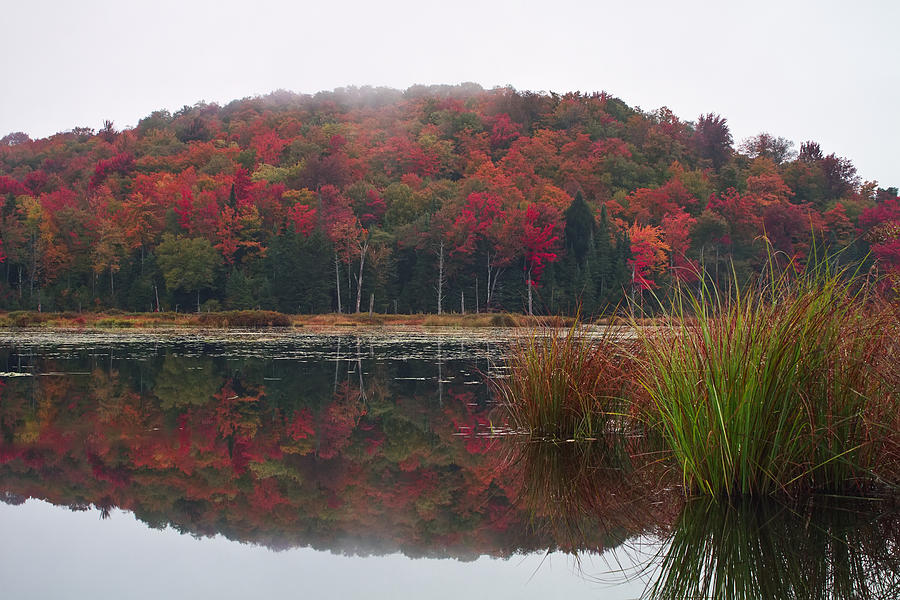 Autumn in Northern Vermont Photograph by John Vose