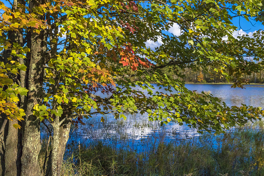 Autumn In Northern Wisconsin Photograph by Linda Arndt - Fine Art America