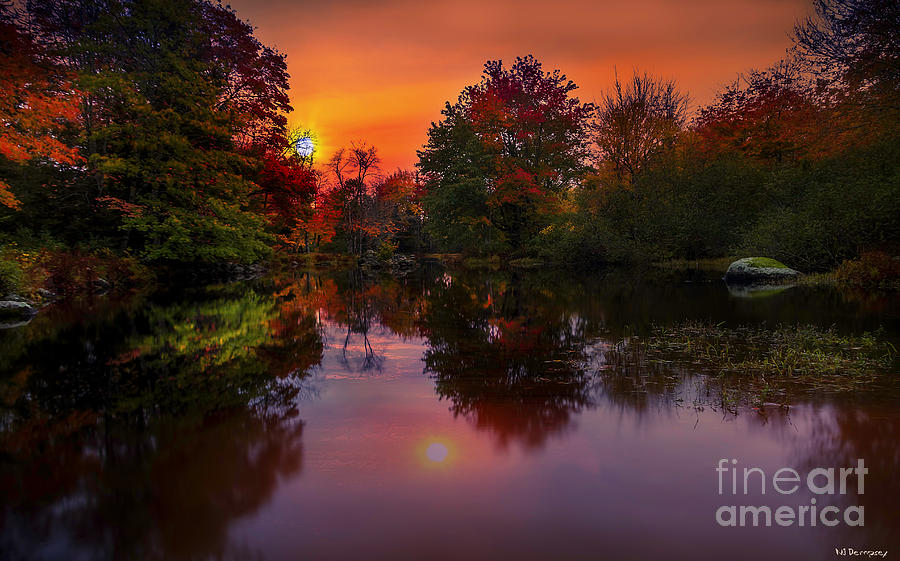 Autumn In Nova Scotia Photograph by Nancy Dempsey