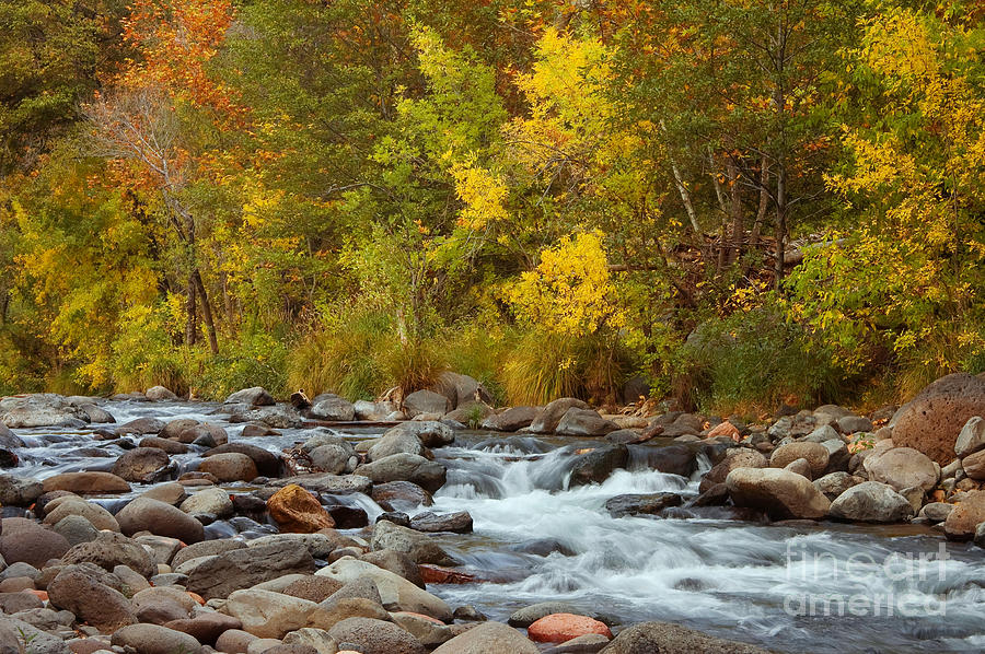 Autumn In Oak Creek Canyon Photograph by Richard and Ellen Thane