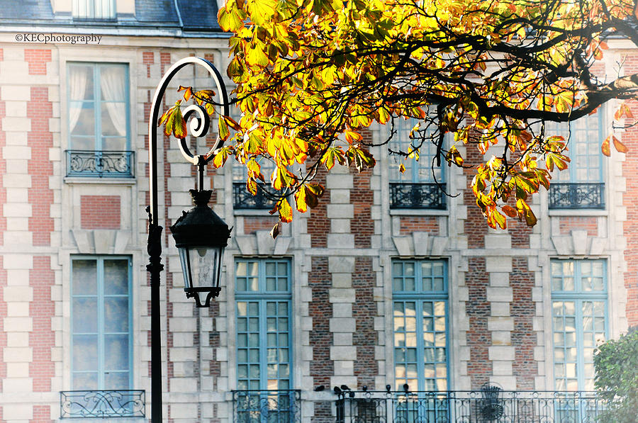 Architecture Photograph - Autumn in Paris by Karen Camilleri