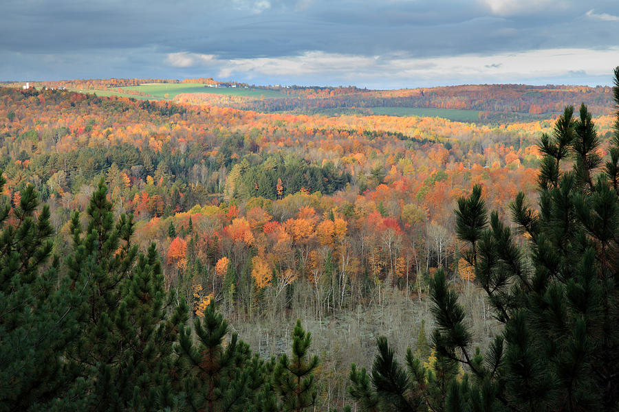 Autumn in Quebec Photograph by Pierre Leclerc Photography