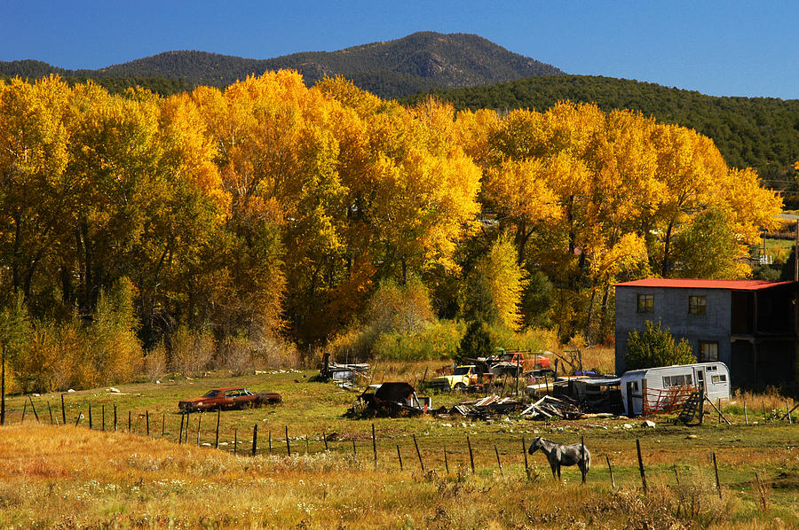 Autumn In Rural New Mexico Photograph by Shirin McArthur