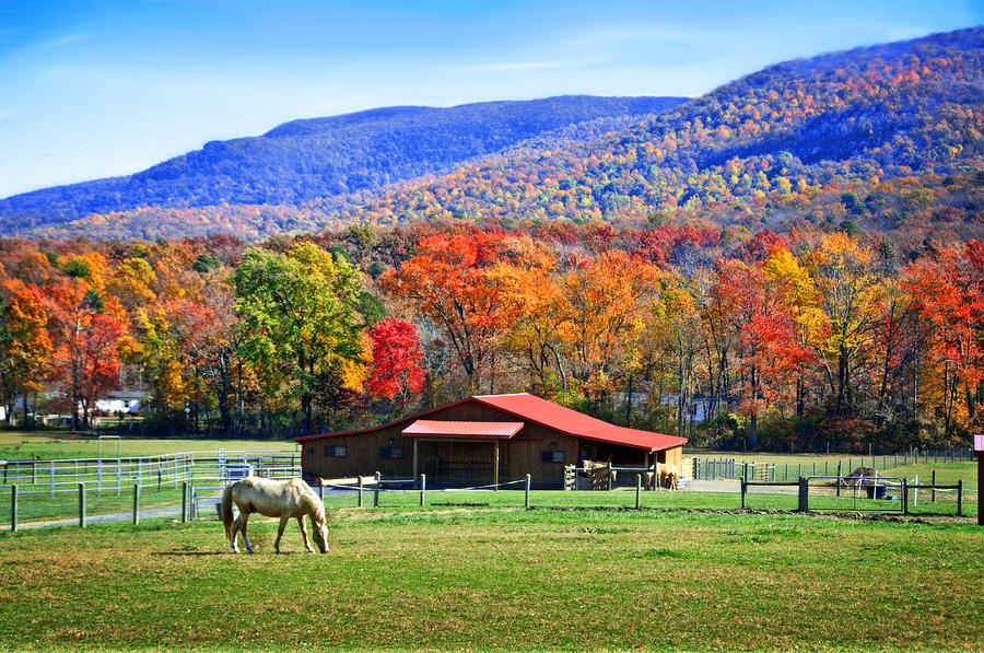 Autumn in Rural Virginia  Photograph by Lynn Bauer