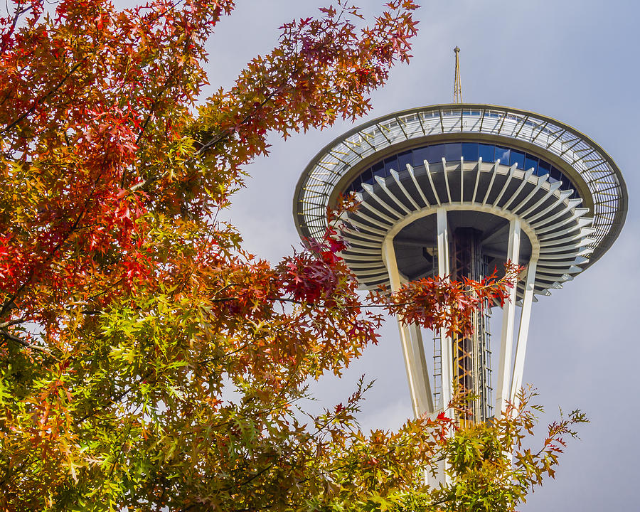 Autumn in Seattle Photograph by Kyle Wasielewski