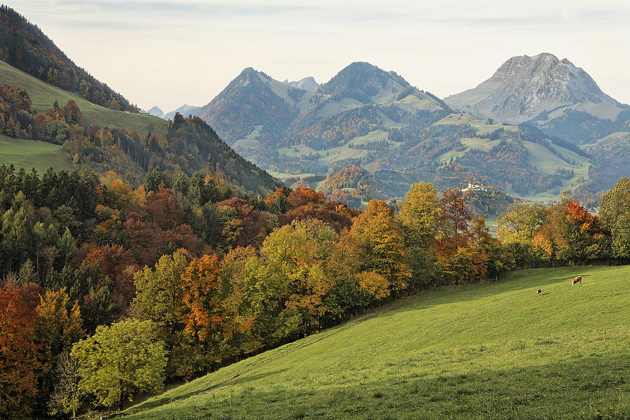 Autumn in Switzerland Photograph by Dominique Dubied