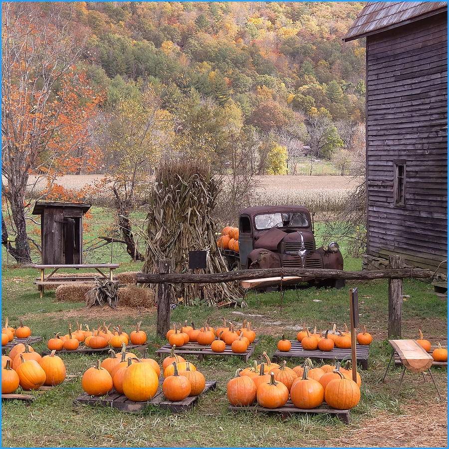 Autumn in the Appalachian Mountains Photograph by Veronica McCullough ...
