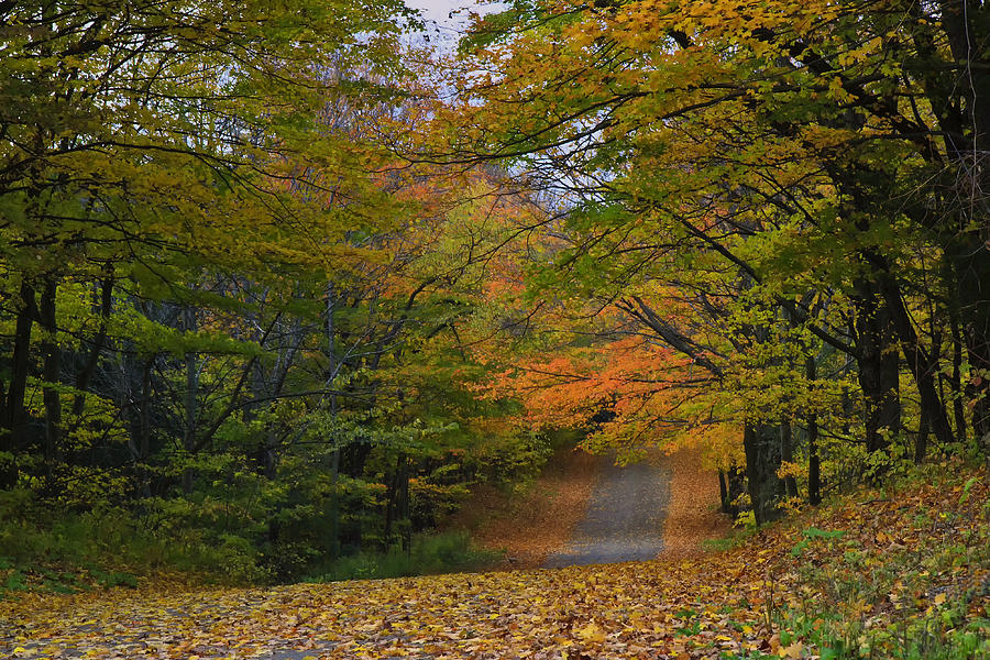 Autumn In The Caledon Hills Photograph by Gary Hall