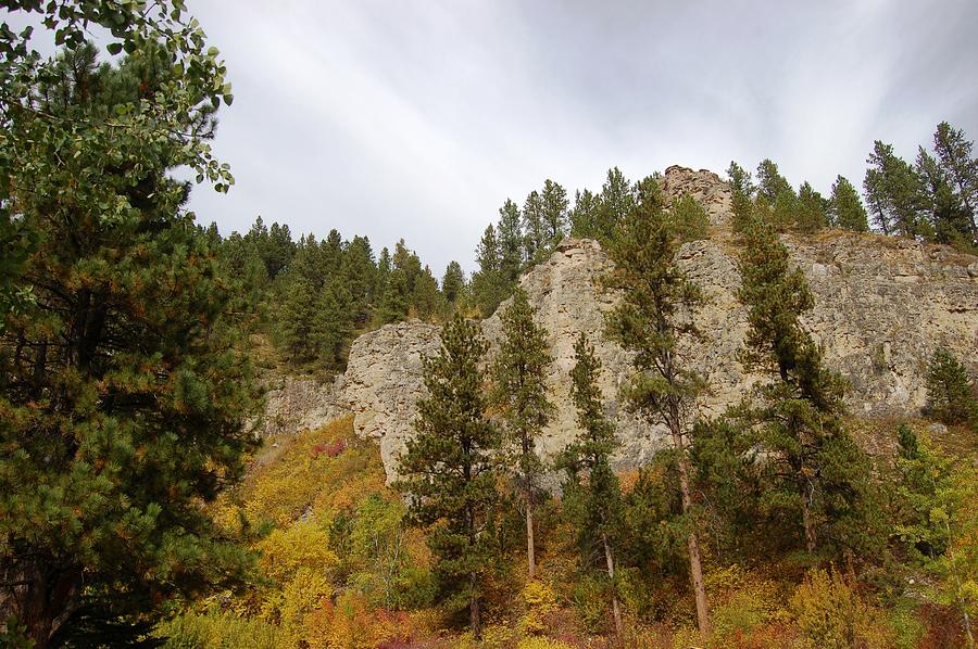 Autumn in the Canyon Photograph by Greni Graph