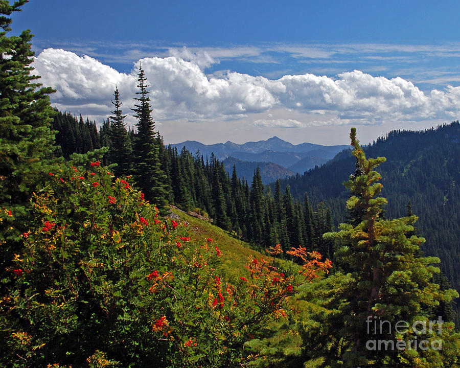Autumn in the Cascades Photograph by Chuck Flewelling