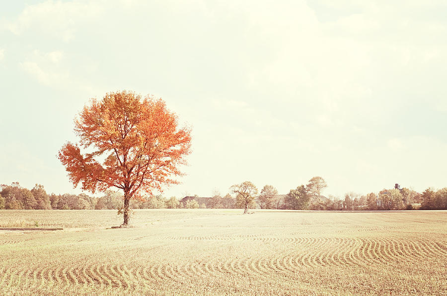 Landscape Photograph - Autumn in the Country by Carolyn Cochrane