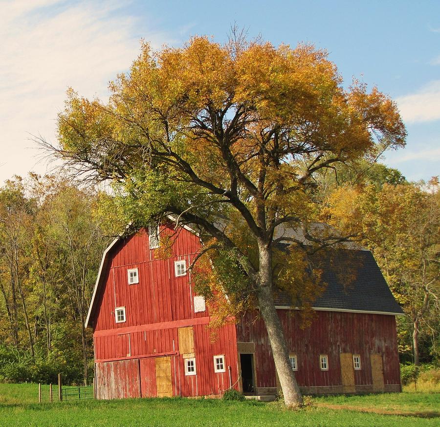 Autumn in the Country Photograph by Lori Frisch