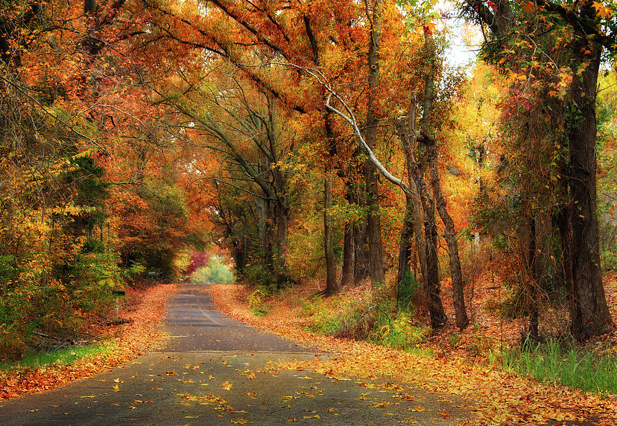Autumn in the Country Photograph by Stephen Flournoy - Fine Art America