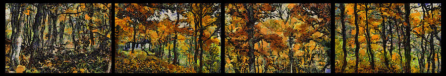 Autumn In The Dark Forest 4 Panel Photograph by Thomas Woolworth