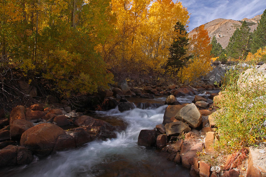 Autumn in the Eastern Sierra Photograph by Steve Wolfe