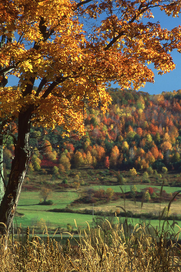 Autumn in the Finger Lakes Photograph by Roger Soule - Fine Art America