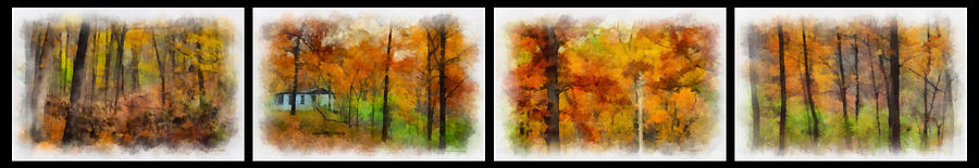 Autumn In The Forest 4 Panel Photograph by Thomas Woolworth
