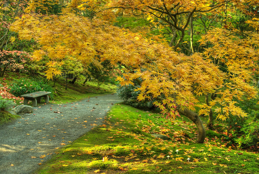 Autumn in the Garden Photograph by Jeff Cook
