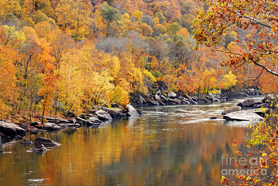 Autumn in the Gorge Photograph by Larry Ricker