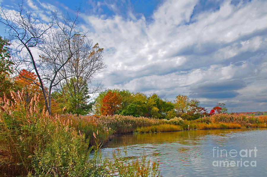 Autumn In The Meadowlands Of NJ Photograph By Regina Geoghan - Fine Art ...