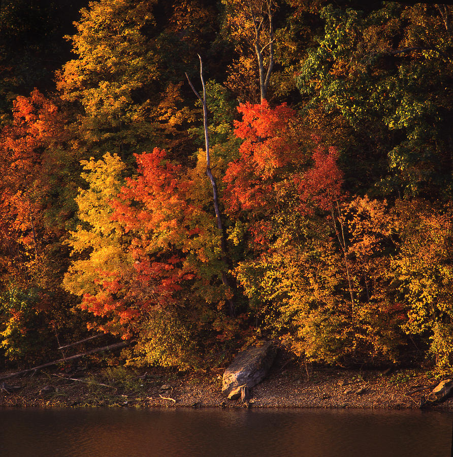 Autumn in the Ozarks Photograph by Greg Kopriva