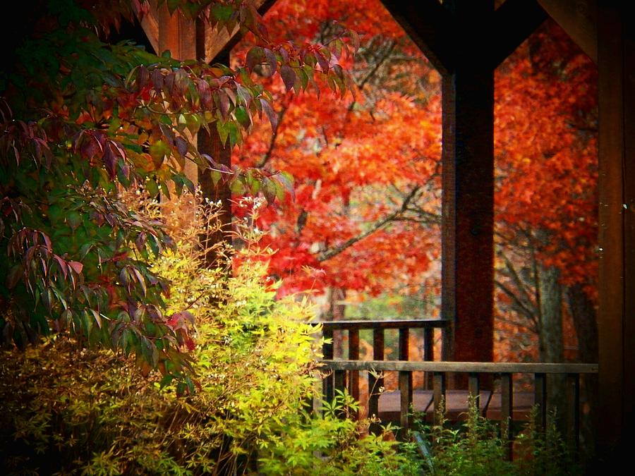Autumn in the Park Photograph by Joyce Kimble Smith