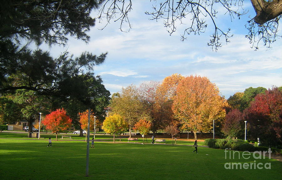 Autumn in the park Photograph by Leanne Seymour