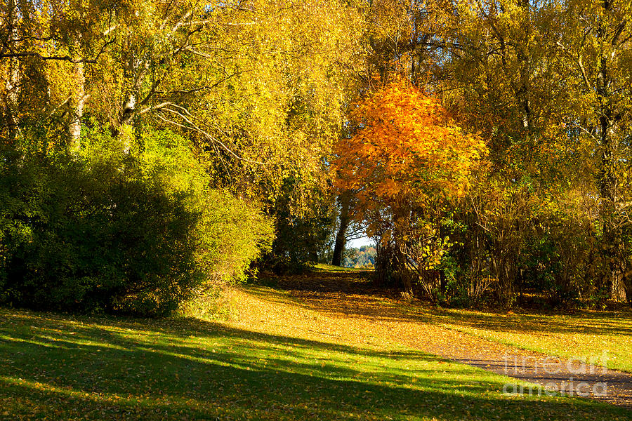 Autumn in the Park Photograph by Lutz Baar