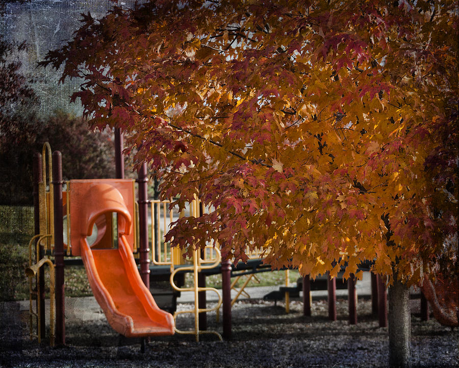 Autumn in the Playground Photograph by Evie Carrier