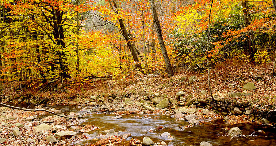 Autumn in the Pocono Mountains Pennsylvania Photograph by A Macarthur Gurmankin