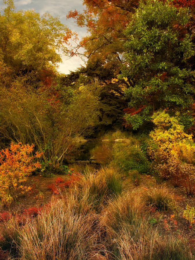Autumn in the Rock Garden Photograph by Jessica Jenney