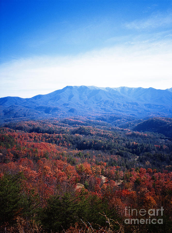 Autumn In The Smokies 2 Photograph by Earl Johnson