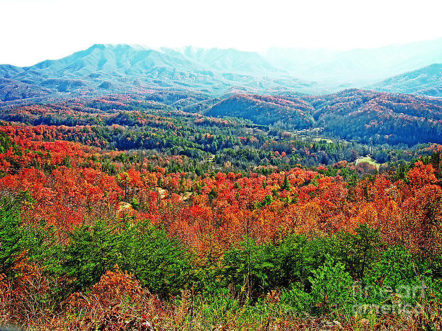 Autumn In The Smokies 4 Photograph by Earl Johnson