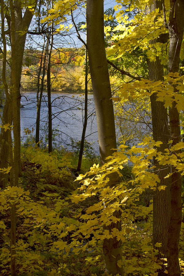 Autumn in the St Croix River Valley Photograph by Garry McMichael