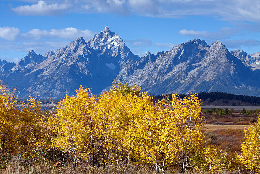 Autumn in the Tetons... Photograph by Shari Sommerfeld
